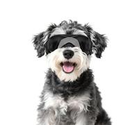 Enjoyng Lunettes de Soleil pour Chiens, Lunettes de Soleil Anti-UV pour Chiens de Petite et Moyenne Taille, Lunettes de Soleil Anti-Vent et Anti-buée pour Chiens avec Cadre Souple, Noir