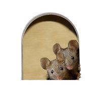 Enkomy Autocollants muraux 3D, 5 pièces Autocollants muraux Trou de Souris Autocollants réalistes de Trou de Souris pour la Maison Chambre Salon décor