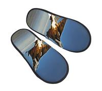 EnkzpoHen Pantoufles chaudes à imprimé avions de combat pour femmes et hommes, chaussures décontractées légères, respirantes et confortables