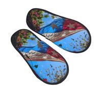 EnkzpoHen Pantoufles chaudes à imprimé drapeau de Porto Rico pour homme et femme, chaussures décontractées légères, respirantes et confortables