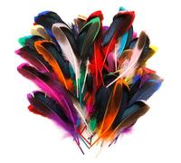 ENLACE Lot de 100 plumes colorées naturelles de 10 à 15 cm - Pour travaux manuels - Pour enfants - Décoration pour boucles d'oreilles - Attrape-rêves - Plumes de coiffe