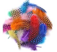 ENLACE Lot de 100 plumes colorées pour travaux manuels, 4,5 à 10 cm, plumes de pintade naturelles mouchetées, plumes pour bricolage, boucles d'oreilles, mariage, attrape-rêves, plumes de coiffe