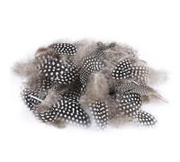 ENLACE Lot de 100 plumes de pintade pour bricolage - 4,5 à 10 cm - Plumes naturelles mouchetées - Plumes de bricolage pour boucles d'oreilles de mariage - Attrape-rêves - Plumes de coiffe - Couleur