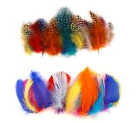 ENLACE Lot de 200 plumes colorées pour le bricolage - 4,5 à 12 cm - Plumes de pintade et plumes d'oie mélangées - Plumes de bricolage pour mariage, attrape-rêves, coiffure, boucles d'oreilles