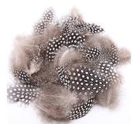 ENLACE Lot de 200 plumes de pintade, 4,5 à 10 cm, plumes mouchetées naturelles, pour bricolage, boucles d'oreilles, mariage, attrape-rêves, plumes de coiffure, couleur naturelle