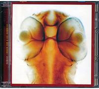 Eno,Roger - Damage [Import]