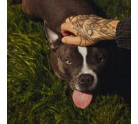 Enol - Una Casa con Jardín (CD)