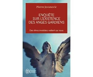 [Enquete Sur L'Existence DES Anges Gardiens (Aventure Secrete)] [By: Jovanovic, Pierre] [June, 2004]