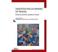 Enquêter sur les mondes du travail Postures, formes, enjeux et visées - Mariagrazia Cairo Crocco - Publication Universite Provence - broché - Essai