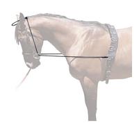 Enrênement élastique pour cheval Hispano Hipica Noir TU