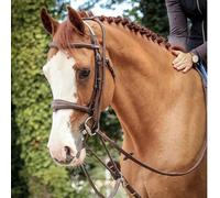 Enrênement élastique pour cheval Jump'In Patrick Marron Full