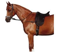 Enrênement pour cheval élastique réglable Norton Noir TU