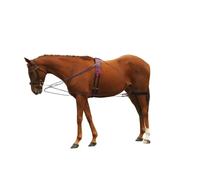 Enrênement pour longe cheval à poulies Norton Bleu TU