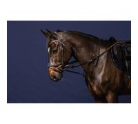 Enrênement pour longe cheval complet Dy'on Howlett Marron Full