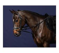 Enrênement pour longe cheval complet Dy'on Howlett Noir Cob