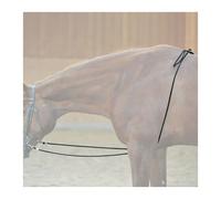 Enrênement pour longe cheval Kavalkade HO Noir TU