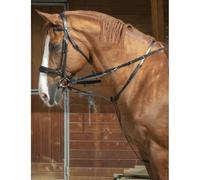 Enrênement pour longe cheval Norton Thiedeman Noir Poney