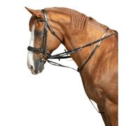 Enrênement pour longe cheval Norton Thiedeman Pro Noir Cheval