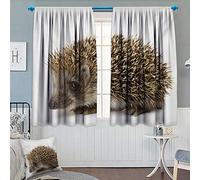 Enrico Bracco - Flying in A Box [Import]