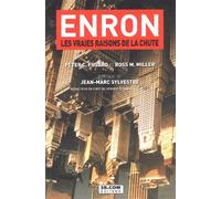 Enron. Les Vraies Raisons De La Chute