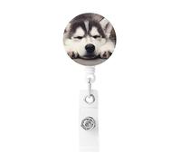 Enrouleurs de badge rétractables avec porte-clés et clip - Motif chien Husky - Porte-badge décoratif pour employés de bureau, médecin, infirmière