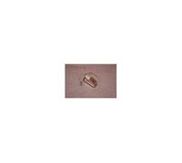 Ens. lampe halogene pour four DG47-00076B