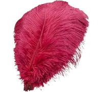 ENSDIEPLS Plumes pour Loisirs créatifs Lot de 10 Plumes d'autruche Multicolores (15-35 cm) for Loisirs créatifs, Mariages, carnavals et décorations de Noël(Wine Red,15-20cm 6-8inch)