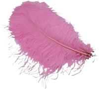 ENSDIEPLS Plumes pour Loisirs créatifs Lot de 10 Plumes d'autruche Multicolores (15-35 cm) for Loisirs créatifs, Mariages, carnavals et décorations de Noël(Pink,15-20cm 6-8inch)