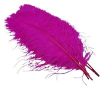 ENSDIEPLS Plumes pour Loisirs créatifs Lot de 10 Plumes d'autruche Multicolores (15-35 cm) for Loisirs créatifs, Mariages, carnavals et décorations de Noël(Rose,15-20cm 6-8inch)