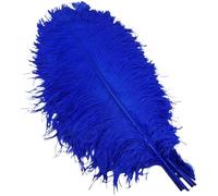 ENSDIEPLS Plumes pour Loisirs créatifs Lot de 10 Plumes d'autruche Multicolores (15-35 cm) for Loisirs créatifs, Mariages, carnavals et décorations de Noël(Sapphire,15-20cm 6-8inch)