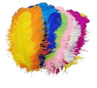 ENSDIEPLS Plumes pour Loisirs créatifs Lot de 10 Plumes d'autruche Multicolores (15-35 cm) for Loisirs créatifs, Mariages, carnavals et décorations de Noël(Green,15-20cm 6-8inch)