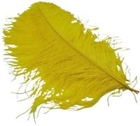 ENSDIEPLS Plumes pour Loisirs créatifs Lot de 10 Plumes d'autruche Multicolores (15-35 cm) for Loisirs créatifs, Mariages, carnavals et décorations de Noël(Yellow,15-20cm 6-8inch)