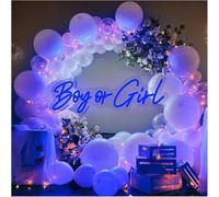 Enseigne lumineuse au néon D'Ambiance Apaisante Lampe Lumières Au Néon À Luminosité Réglable Boy Or Girl Panneau(C)