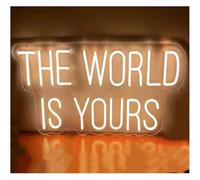 enseigne lumineuse au néon « Le monde est à vous » - Enseigne lumineuse néon décorative pour mariage, anniversaire, intérieur et extérieur(Warm White)