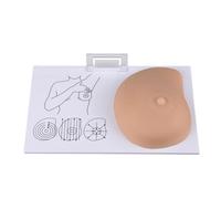 Enseignement de l'anatomie pathologique du sein : Modèle d'auto-examen du sein ; Modèle d'examen pathologique des masses irrégulières