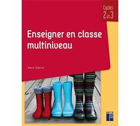 Enseigner en classe multiniveau