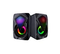 Ensemble 2 Haut-parleurs