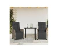 Ensemble à Manger de Jardin avec Coussins 3 pcs, Table et Chaises avec Dossier et Repose-pied Réglables, Meubles d'Extérieur, Moderne, Gris Résine