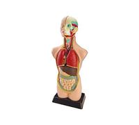 Ensemble Anatomie 11 Pièces Miniland 99020