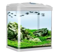 Ensemble aquarium 19L avec couvercle de filtre LED blanc pour poissons, crevettes et enfants