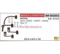 Ensemble Balais Moteur Éléctrique Briggs & Stratton pour Série 176432 Modèle C