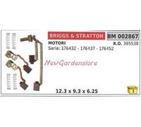 Ensemble Balais Moteurs Électriques Briggs & Stratton Série 176432 176437 002867