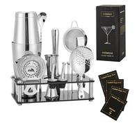 Ensemble Boston Shaker 16 pièces - Kit de cocktail en acier inoxydable avec shaker, filtre, pince à glace, cuillère, doseur, pilon, 4 pics à cocktail et 2 verseurs. (Argent)