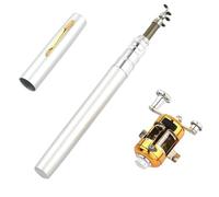 Ensemble canne à pêche avec moulinet et mini stylo télescopique portable de 1 m pour voyage, eau salée, eau douce et mer (argenté)
