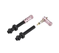 Ensemble Capuchons de Valve Granite Juicy Nipple et Tiges de Valve Presta, Capuchons de Protection de Pneu de Vélo avec Fonction de Retrait du Noyau de Valve (Rose)