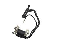 Ensemble carburateur, Bobine d'allumage et Lanceur à Rappel for Moteurs GX120, GX140, GX160, GX168 et GX200 (5 CV, 5,5 CV et 6,5 CV) - Pièces de Jardin(Ignition Coil)