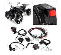 Ensemble CDI, Harnais Quadriphyme, adapté à Un VTT 200 à 300 Cm3, avec Assemblage CDI électrique, Accessoire d'Assemblage Complet