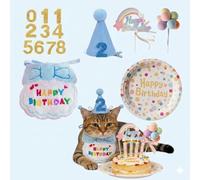 Ensemble chapeau et bavoir d'anniversaire pour chat, fournitures de fête interactive avec boule arc-en-ciel, autocollants numérotés de 0 à 8 et bougie - Bannière de décorations d'anniversaire pour