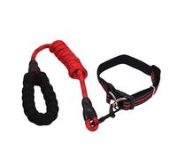 Ensemble collier et corde pour chiot - Collier réfléchissant - Collier respirant pour chien avec jeu de corde - Colliers simples pour chiens de grande taille, moyenne et petite taille