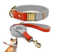 Ensemble Collier et Laisse Chien L 38-58cm, Nylon Cuir Gris argenté | Laisse 152cm, Boucle Métal Vintage, Attache 360°, Pour Grand Chien, Durable Promenade & Éducation
